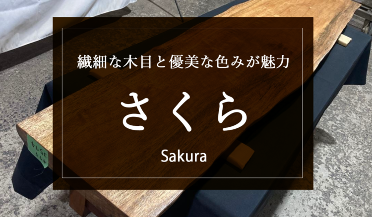 【日本の銘木さくら】繊細な木目と優美な色みが魅力。