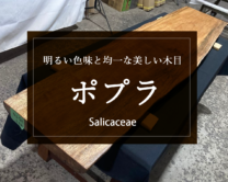 【ポプラ】明るい色味と均一な美しい木目