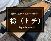 【栃（トチ）】美しい木目と耐久性。自然の魅力を伝えるトチの木テーブル