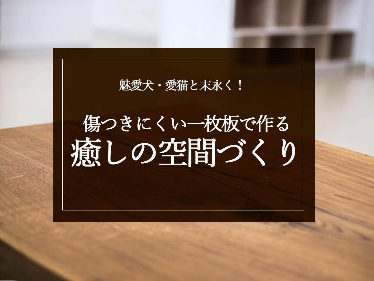 愛犬・愛猫と末永く！傷つきにくい一枚板で作る癒しの空間づくり
