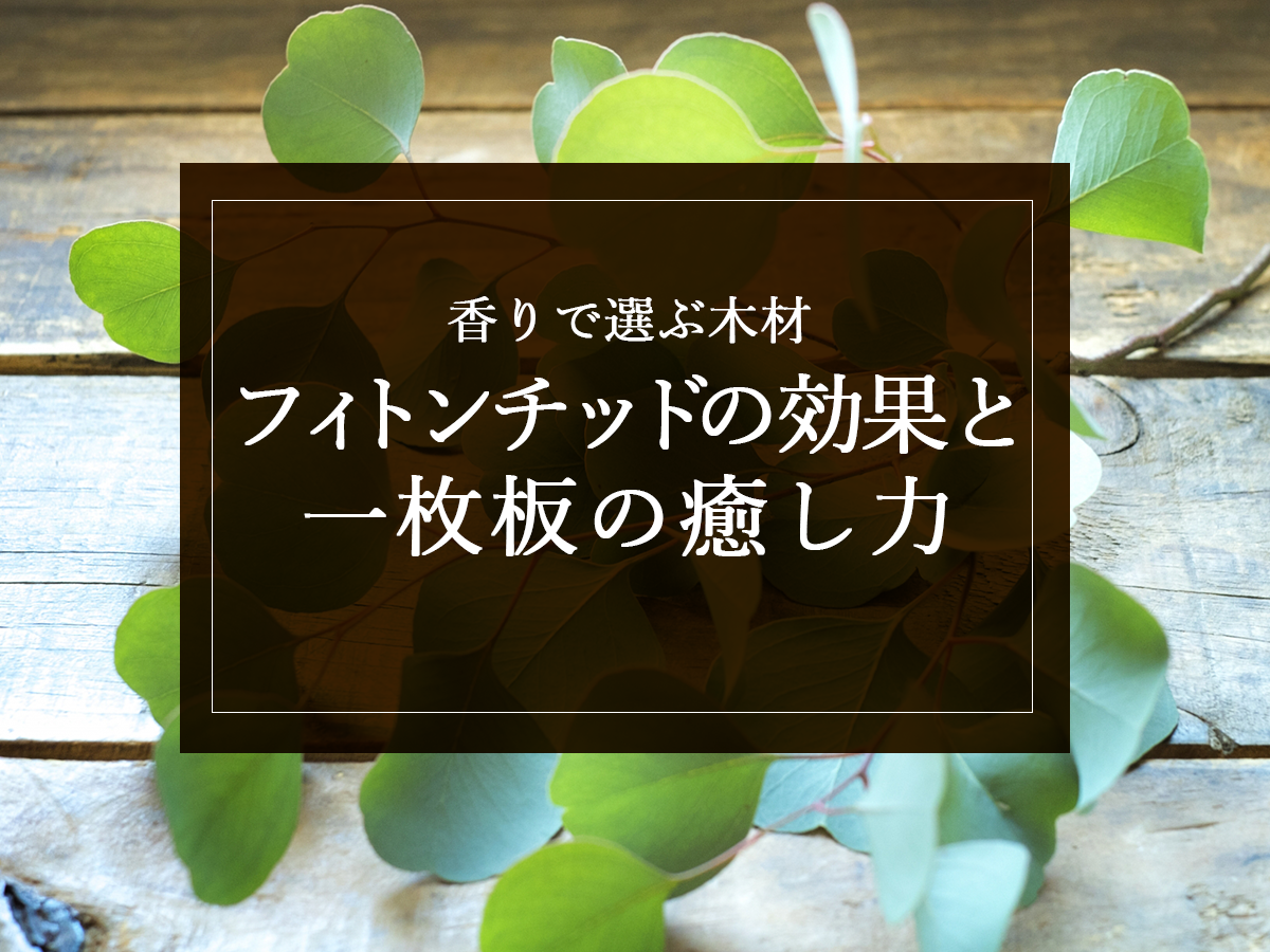 「香りで選ぶ木材」フィトンチッドの効果と一枚板の癒し力