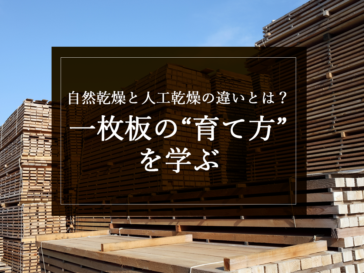 自然乾燥と人工乾燥の違いとは？一枚板の“育て方”を学ぶ
