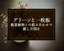 銘木日記（コラム）「グリーンと一枚板：観葉植物との組み合わせで癒し空間を」を更新いたしました。