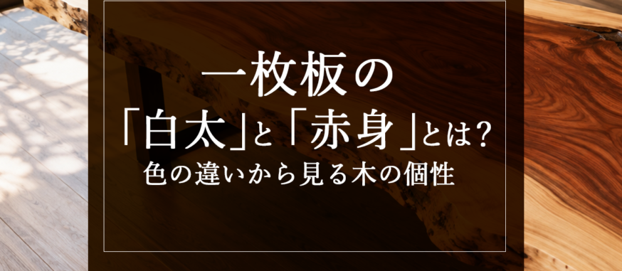 一枚板の「白太」と「赤身」とは？色の違いから見る木の個性